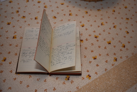 Diary Edith and Fred January and February 1924
